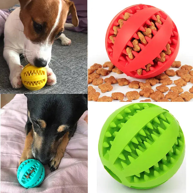 Pet Toy Interactive Rubber Balls Sweety Collector Store