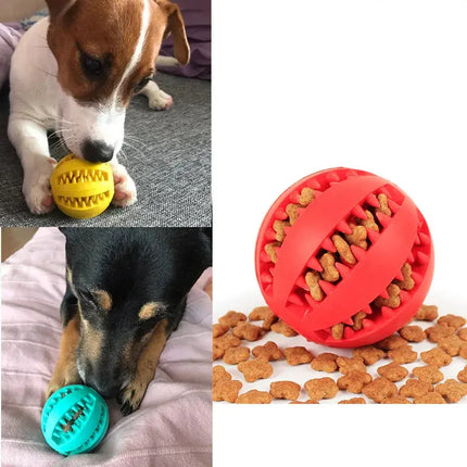 Pet Toy Interactive Rubber Balls Sweety Collector Store