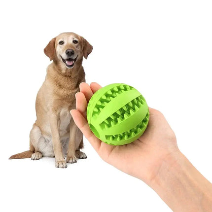 Pet Toy Interactive Rubber Balls Sweety Collector Store